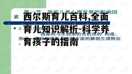四、儿童心理发展