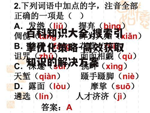 百科知识大全,搜索引擎优化策略-高效获取知识的解决方案