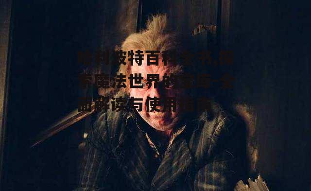 二、哈利波特百科全书的价值