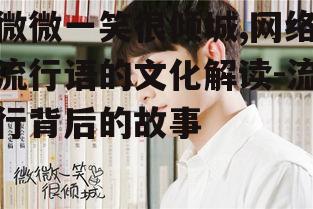 微微一笑很倾城,网络流行语的文化解读-流行背后的故事