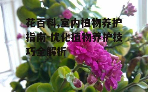 花百科,室内植物养护指南-优化植物养护技巧全解析