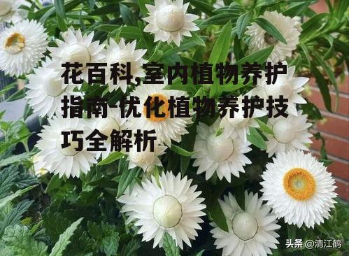 二、如何高效使用花百科