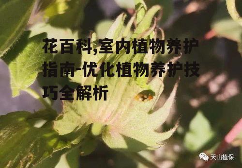 三、花百科在病虫害防治中的应用