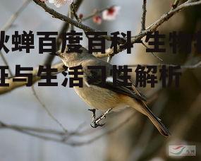 二、秋蝉的生活习性