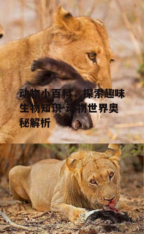 动物小百科，探索趣味生物知识-动物世界奥秘解析