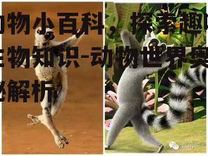 二、动物的生活习性
