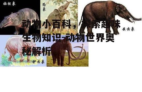 三、动物的奇妙进化