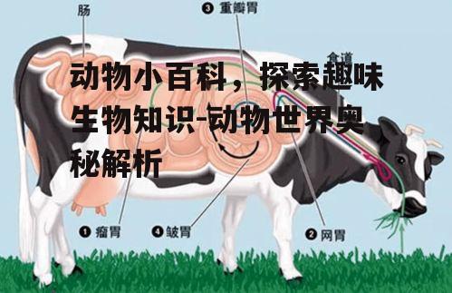 四、动物与人类的关系