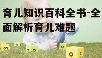 三、婴儿早期教育