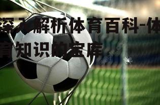 四、体育百科的互动性