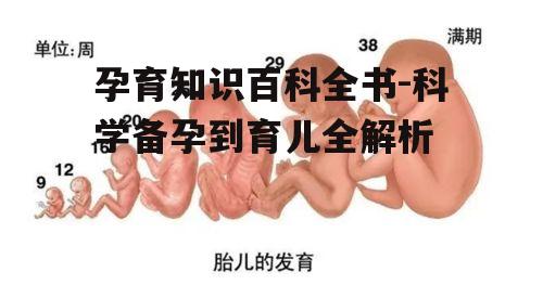 二、孕期营养与胎儿发育