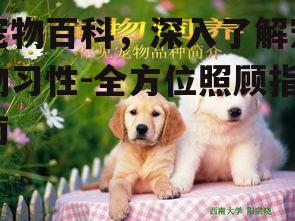 宠物百科，深入了解宠物习性-全方位照顾指南