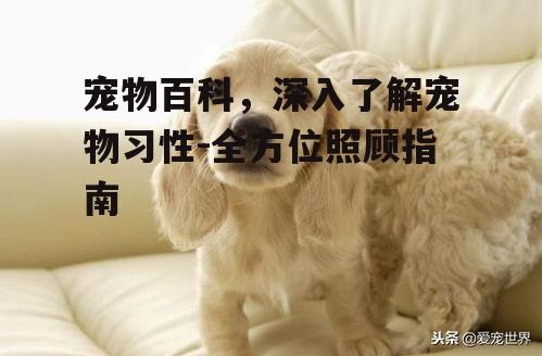 二、宠物习性解析