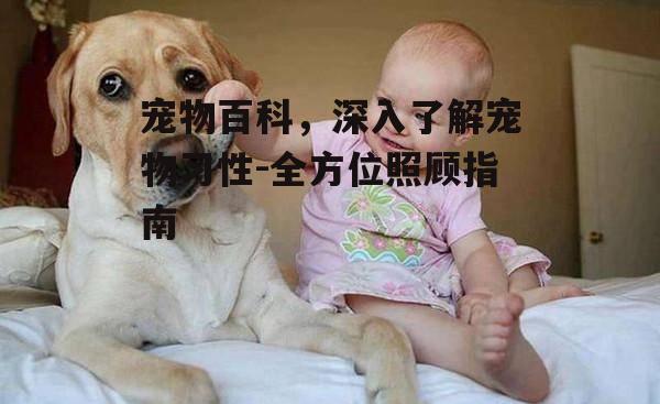 四、宠物训练与行为纠正