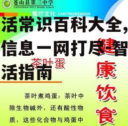 生活常识百科大全,实用信息一网打尽-智慧生活指南