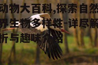 二、鸟类的飞行奥秘