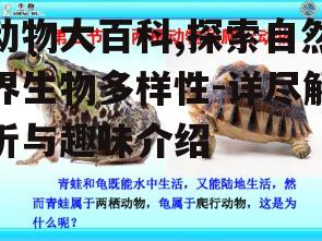 四、两栖动物的生命奇迹
