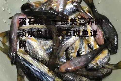 二、溪石斑鱼的生态环境