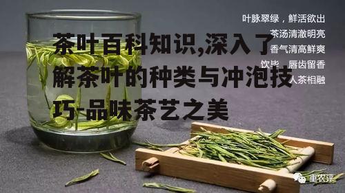 茶叶百科知识,深入了解茶叶的种类与冲泡技巧-品味茶艺之美