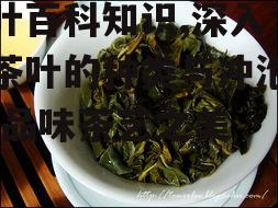 二、茶叶的功效与作用