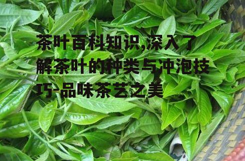 四、茶叶的选购与保存