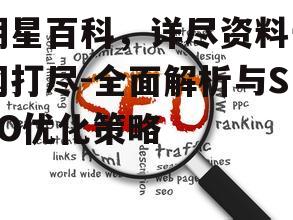 三、如何优化明星百科的SEO排名
