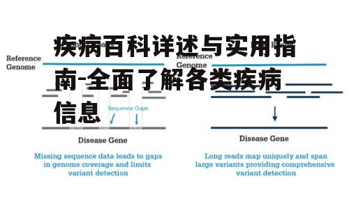疾病百科详述与实用指南-全面了解各类疾病信息