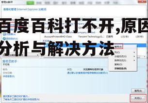 四、浏览器插件冲突