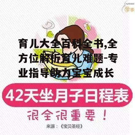 育儿大全百科全书,全方位解析育儿难题-专业指导助力宝宝成长