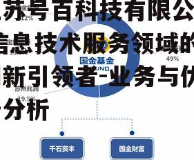 江苏号百科技有限公司,信息技术服务领域的创新引领者-业务与优势分析