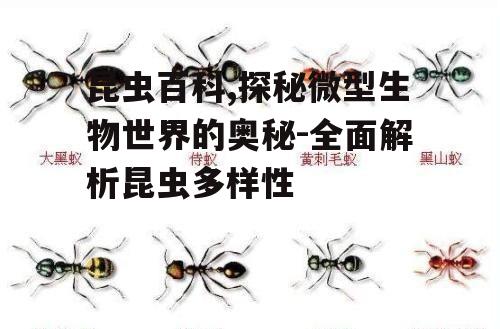 昆虫百科,探秘微型生物世界的奥秘-全面解析昆虫多样性