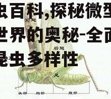 二、昆虫的身体结构