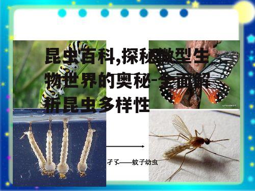 三、昆虫的生殖与发育