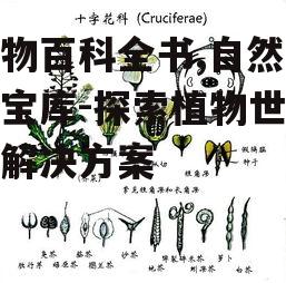 二、植物分类与特征