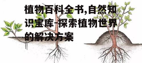 四、植物繁殖方式与保护