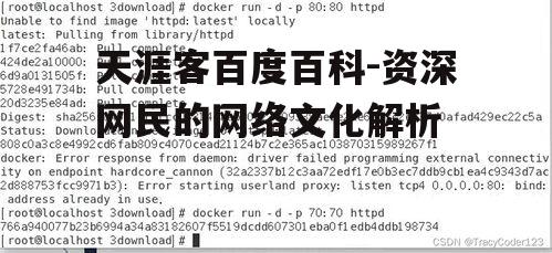 二、天涯客的主要特点