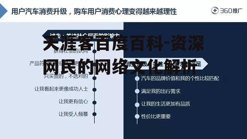 三、天涯客的网络行为模式