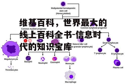 三、维基百科的准确性及可靠性