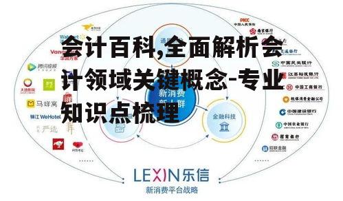 四、会计信息化与技术创新