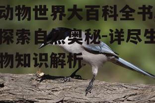 二、鸟类的多样世界