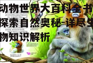 三、爬行动物的秘密