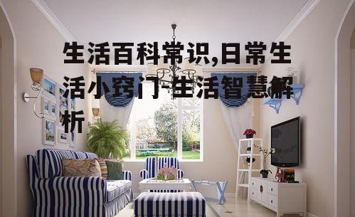 二、家居清洁,保持环境整洁