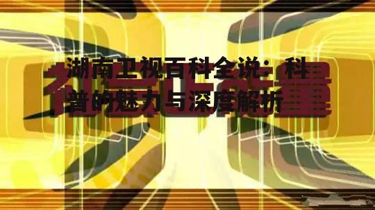 四、节目制作与传播