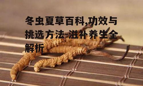 二、冬虫夏草的功效与作用