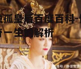 独孤皇后百度百科-传奇一生的解析
