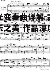 三、月光变奏曲的音乐影响力
