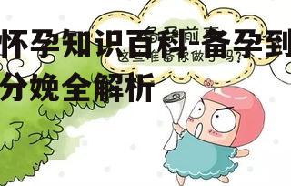 怀孕知识百科-备孕到分娩全解析