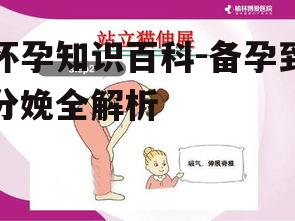 二、怀孕早期:症状与保健策略