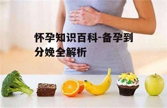 三、怀孕中期:胎儿发育与孕期营养