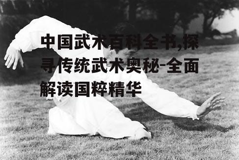 三、武术技术与战术